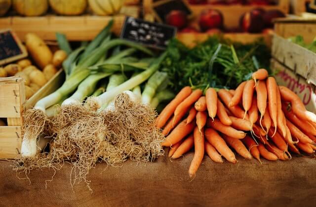 Fresh harvested vegetables